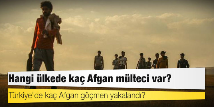 Hangi ülkede kaç Afgan mülteci var? Türkiye'de kaç Afgan göçmen yakalandı?