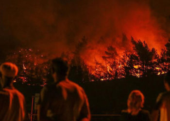 Hazine ve Maliye Bakanlığı, yangın bölgeleri için 'mücbir sebep' ilan etti; vergi ödemeleri ertelendi