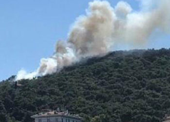 Heybeliada'da orman yangını!