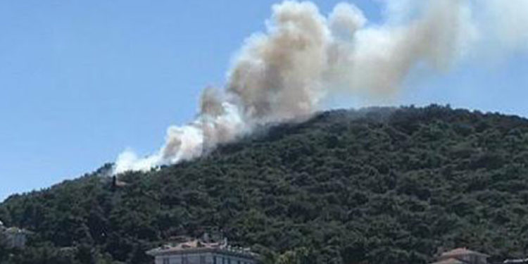 Heybeliada'da orman yangını!