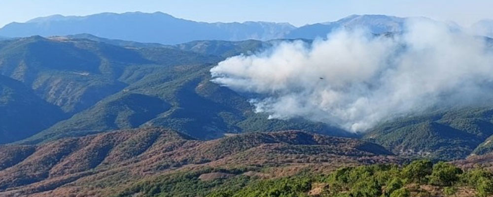 Hozat'taki yangın Ovacık köylerine ulaştı: Havadan müdahale edilsin