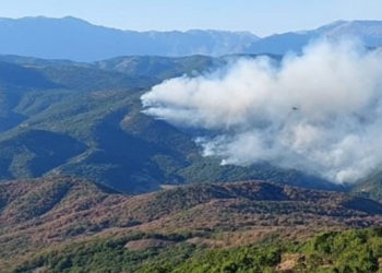 Hozat'taki yangın Ovacık köylerine ulaştı: Havadan müdahale edilsin