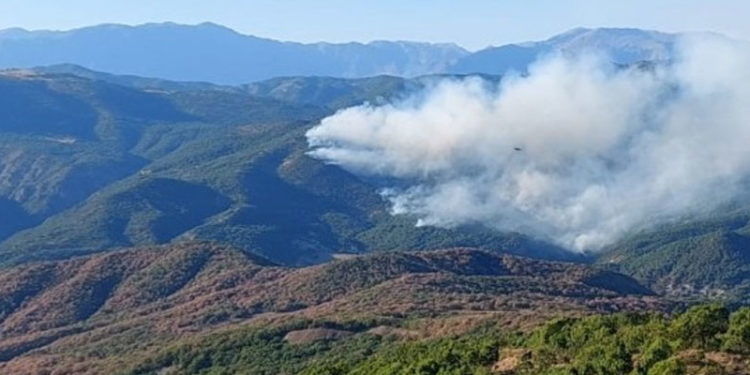 Hozat'taki yangın Ovacık köylerine ulaştı: Havadan müdahale edilsin