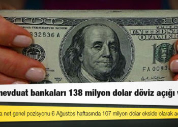Kamu mevduat bankaları 138 milyon dolar döviz açığı verdi