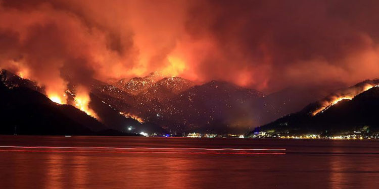 Kemerköy santraline yakın yangın kontrol altında