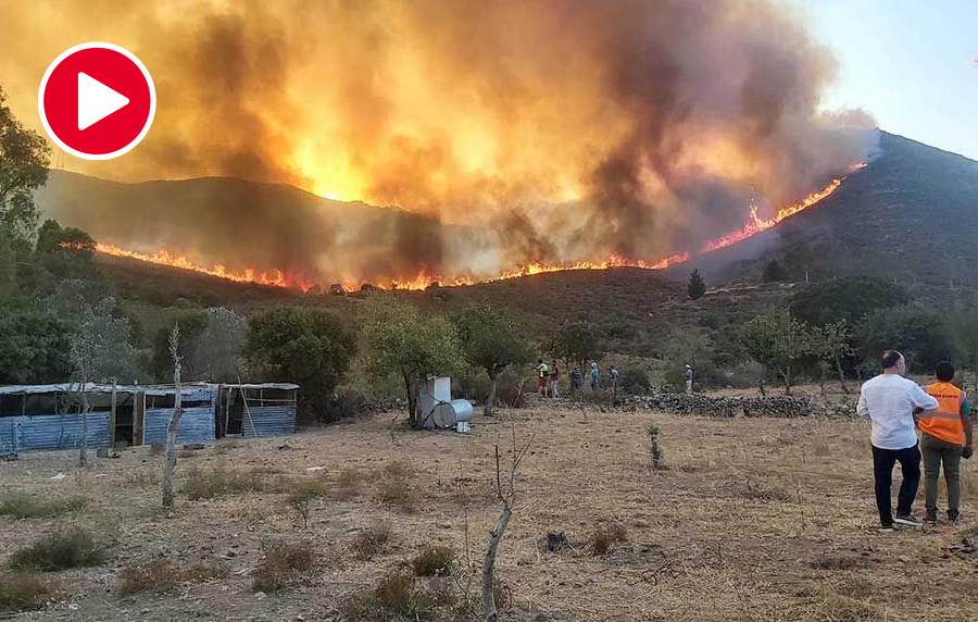 Korkulan oldu; Bodrum’da çıkan yangın yerleşim yerlerine ilerliyor