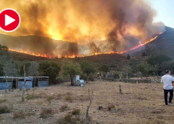 Korkulan oldu; Bodrum’da çıkan yangın yerleşim yerlerine ilerliyor