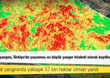 Manavgat yangını, Türkiye'de yaşanmış en büyük yangın felaketi olarak kayıtlara geçti