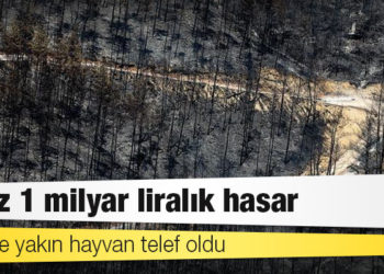 Manavgat'ta 60 bin hektar ormanlık alan kül oldu