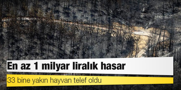 Manavgat'ta 60 bin hektar ormanlık alan kül oldu