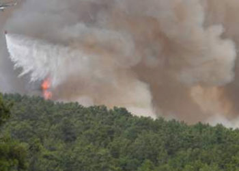 Manavgat'taki yangın 10. gününde, 14 noktada devam ediyor