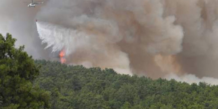 Manavgat'taki yangın 10. gününde, 14 noktada devam ediyor