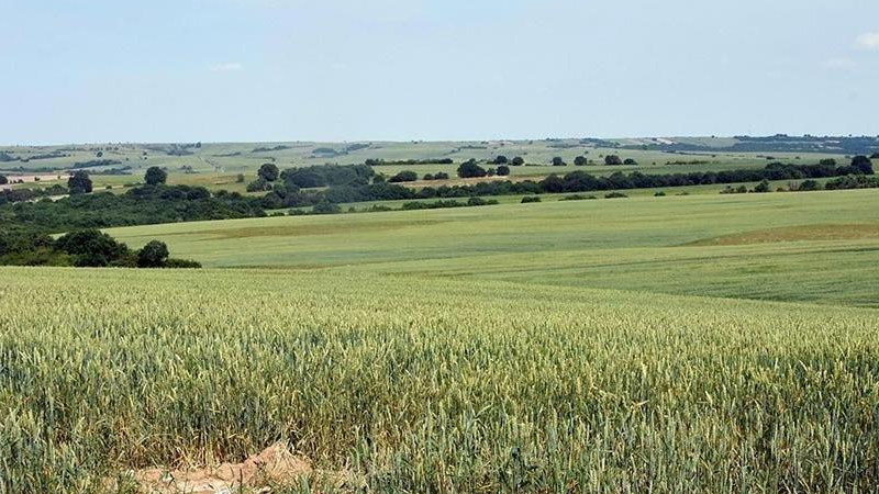 Manisa Büyükşehir Belediyesi, 1451 hektarlık tarım arazisini imara açıyor