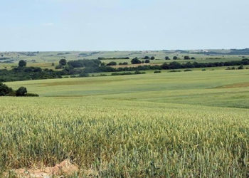Manisa Büyükşehir Belediyesi, 1451 hektarlık tarım arazisini imara açıyor