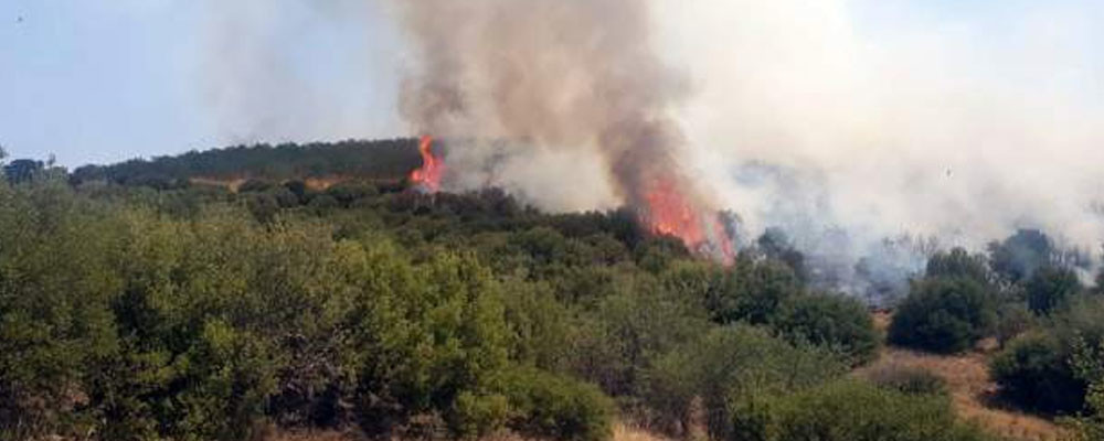 Manisa'nın Kula ilçesinde makilikte çıkan yangın ormana sıçradı