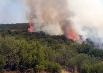 Manisa'nın Kula ilçesinde makilikte çıkan yangın ormana sıçradı