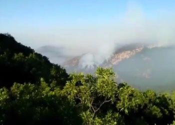 Maçoğlu isyan etti: ‘‘Burada oteller yapılmadığı ve rant olmadığı için kimse söndürmeye gelmiyor’’