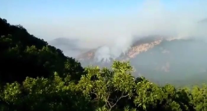 Maçoğlu isyan etti: ‘‘Burada oteller yapılmadığı ve rant olmadığı için kimse söndürmeye gelmiyor’’