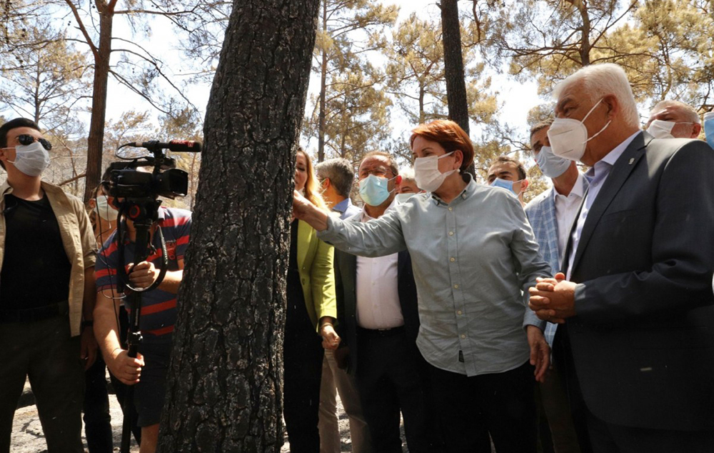 Meral Akşener: Yanan alanlara dikilecek bütün betonları yıkacağız