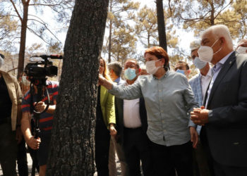 Meral Akşener: Yanan alanlara dikilecek bütün betonları yıkacağız