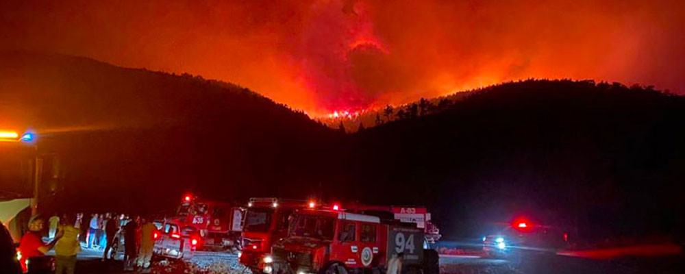 Mersin ve Gazipaşa ve Bodrum'daki yangınlar kontrol altına alındı