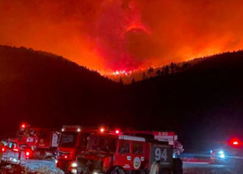Mersin ve Gazipaşa ve Bodrum'daki yangınlar kontrol altına alındı