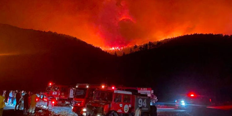 Mersin ve Gazipaşa ve Bodrum'daki yangınlar kontrol altına alındı