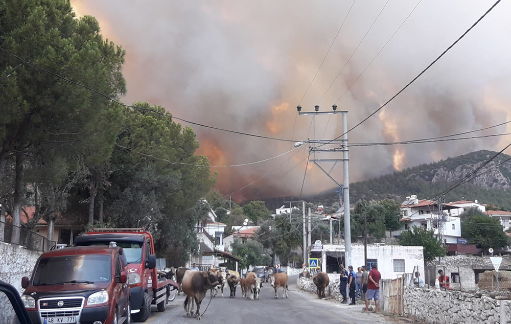 Milas’ta alevler yerleşim yerlerine ulaştı, Gökbel köyü tahliye edildi