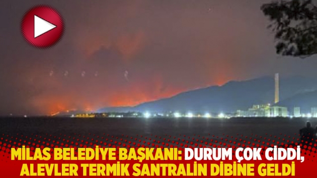 Milas Belediye Başkanı Tokat: Durum çok ciddi, alevler termik santralin dibine geldi