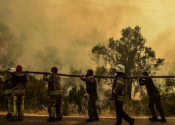 Milas Belediye Başkanı Tokat: Bu hız alınamazsa istikamet Termik Santral