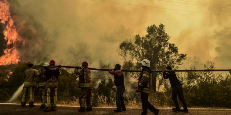 Milas Belediye Başkanı Tokat: Bu hız alınamazsa istikamet Termik Santral