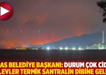 Milas Belediye Başkanı Tokat: Durum &ccedil;ok ciddi, alevler termik santralin dibine geldi