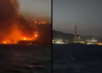 Milas Belediye Başkanı görüntü paylaştı: Durum çok ciddi, alevler termik santralin dibine geldi