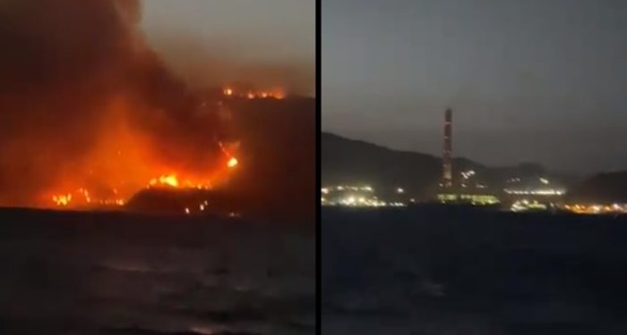 Milas Belediye Başkanı görüntü paylaştı: Durum çok ciddi, alevler termik santralin dibine geldi