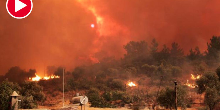 Milas’ta alevler Kemerköy Termik Santrale sıçradı, tahliyeler başladı