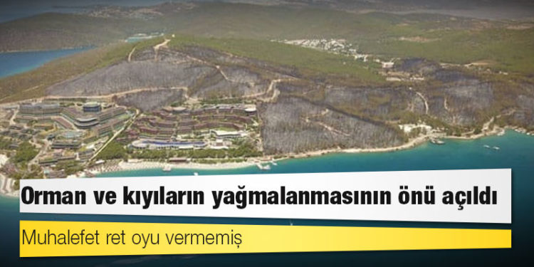 Muhalefet ret oyu vermemiş: Orman ve kıyıların yağmalanmasının önü açıldı