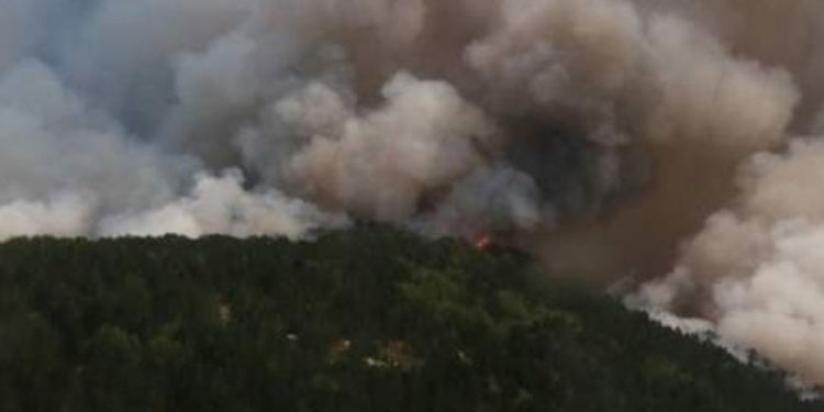 Muğla'nın Kavaklıdere ilçesindeki yangın TRT vericisini tehdit ediyor