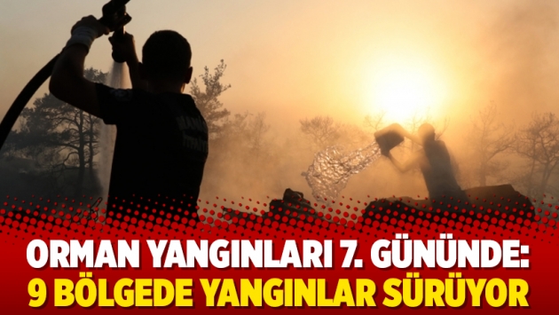 Orman yangınları 7. gününde: 9 bölgede yangınlar sürüyor