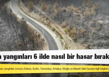 Orman yangınları 6 ilde nasıl bir hasar bıraktı?