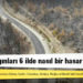Orman yangınları 6 ilde nasıl bir hasar bıraktı?