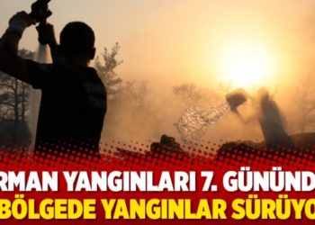 Orman yangınları 7. g&uuml;n&uuml;nde: 9 b&ouml;lgede yangınlar s&uuml;r&uuml;yor