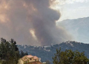 Orman yangınları: Cezayir'de 25 asker ve 17 sivil hayatını kaybetti