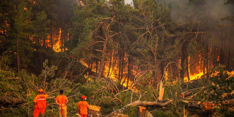Orman yangınlarında 10. gün: 5 ildeki 12 yangın devam ediyor