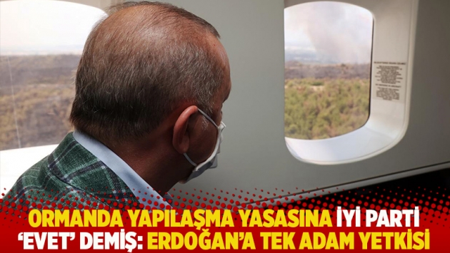 Ormanda yapılaşma yasasına İYİ Parti 'evet' demiş: Erdoğan'a tek adam yetkisi