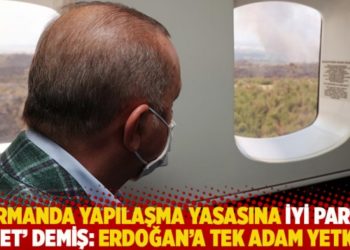 Ormanda yapılaşma yasasına İYİ Parti 'evet' demiş: Erdoğan'a tek adam yetkisi