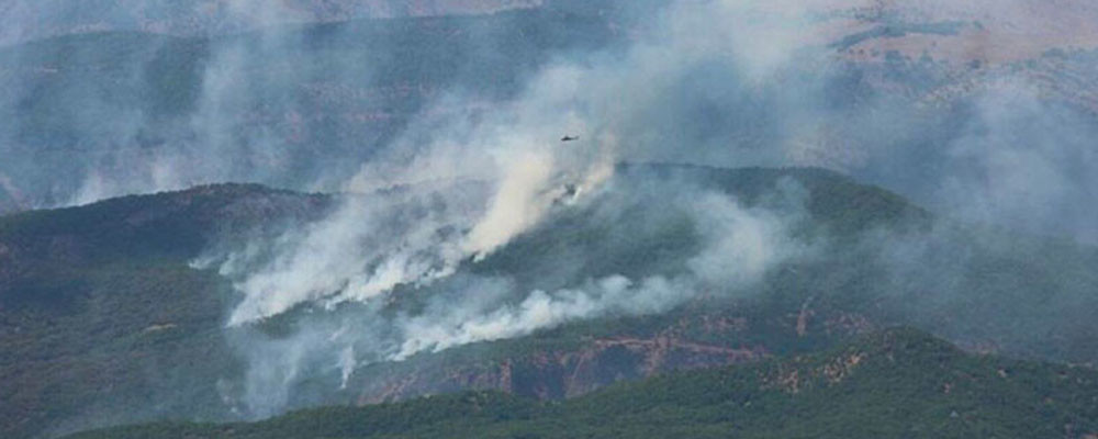 Ovacık ilçesi Buzlutepe köylüleri: Yangın 600 metre yakınımızda