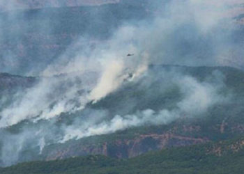 Ovacık ilçesi Buzlutepe köylüleri: Yangın 600 metre yakınımızda