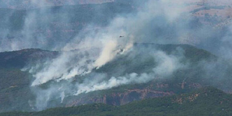 Ovacık ilçesi Buzlutepe köylüleri: Yangın 600 metre yakınımızda
