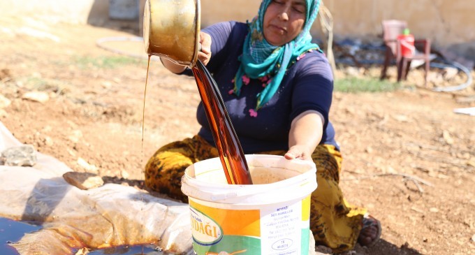 Pekmez mesaisi başladı