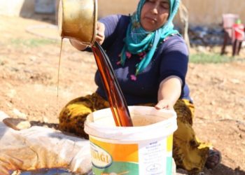 Pekmez mesaisi başladı